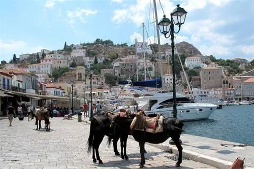 Знаменитые ослы в порту Гидры.