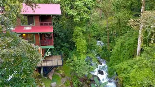 Внешний вид многоэтажного дома AirBNB с красной крышей посреди тропического леса и рядом с быстрым ручьем в Коста-Рике.