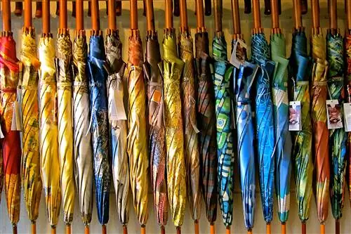 Если вы не можете победить дождь, отправляйтесь за покупками в магазин зонтиков.