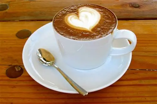 Согревающая чашка кофе в Gene Cafe.