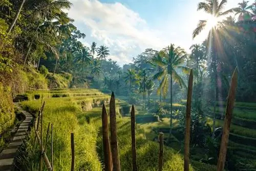 Первый раз на Бали: где поесть, остановиться и поиграть