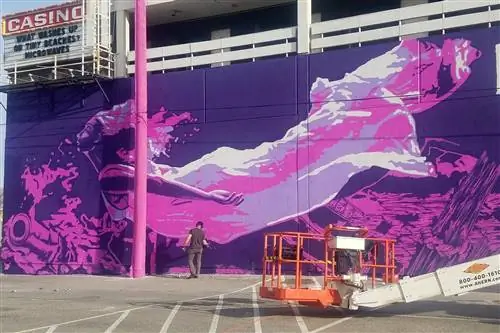 Artist Aware добавляет последние штрихи к огромной пурпурно-розовой фреске; на нем изображена женщина, плавающая в летящем платье. Artist Aware добавляет последние штрихи к огромной пурпурно-розовой фреске; на нем изображена женщина, плавающая в летящем платье.