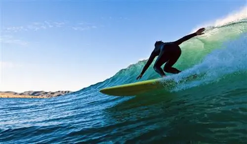 Серфер в черном гидрокостюме скользит по зеленой волне на фоне солнца в Мексике.