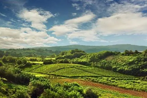 Ретро-маршрут по Южной Сербии