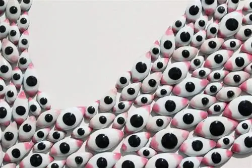 Сон разума создает монстров, 2001 год, Анита Дубе. Изображение предоставлено художником и галереей Lakeeren, Мумбаи.