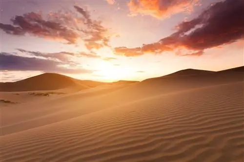 На этом изображении рябь большой песчаной дюны Сахарны обращена к заходящему солнцу; небо усеяно несколькими темными облаками, за которыми виднеется ярко-фиолетовый горизонт.