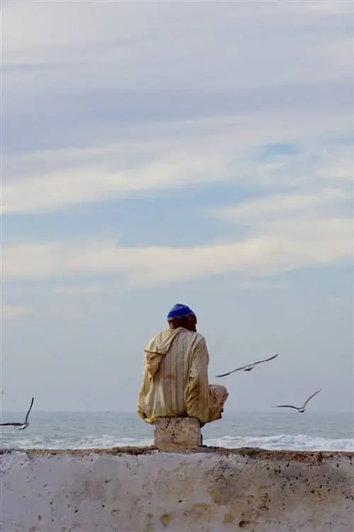 Бербер сидит на стене лицом к морю (спиной к камере); вдалеке виден океан, и летают чайки.