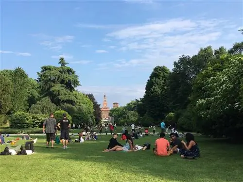 Местные жители тусуются на траве в парке Семпионе; за ними растут деревья и кусты, а дальше виднеется внушительный замок из красного кирпича Castello Sforzesco.