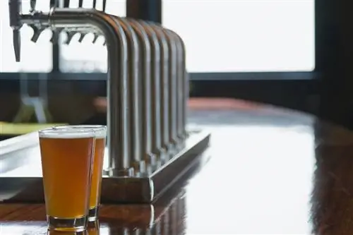 Разливное пиво в баре Сиэтла.