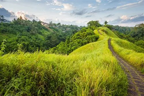 Поход по хребту Кампухан, состоящий из квадратных камней, вставленных в траву, проходит по гребню яркого зеленого холма; овраги по обеим сторонам полны густых лесов