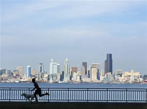 Силуэт бегуна с собакой на набережной на фоне горизонта Сиэтла