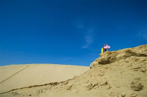 Пара людей стоит на вершине дюны, глядя на засушливый пейзаж, держа в руках яркие доски для песка.