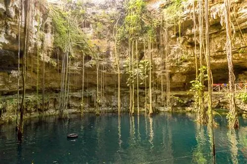 Глубокие синие воды сенота в Hacienda San Lorenzo окружены желтовато-коричневыми и не совсем белыми каменными стенами, усыпанными длинными лианами, свисающими с верхней части рамы до поверхности воды. Слева по воде плавает черная камера.