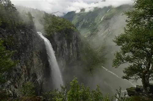 Водопад в туманном лесу