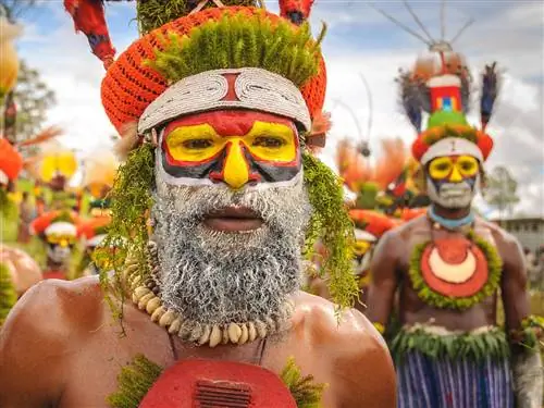 Представители племени нарядились для культурного шоу Маунт-Хаген в Папуа-Новой Гвинее.