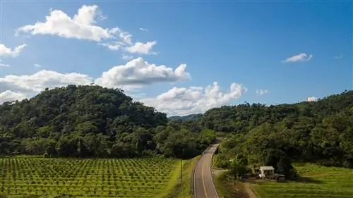 Белиз Aquila Flores DJI_0062-2 LP-j.webp