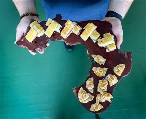 Небольшие кусочки еды отображаются на куске темного дерева