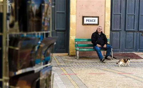Мужчина сидит на скамейке под знаком мира на греческой стороне зеленой линии, контролируемой ООН буферной зоны, разделяющей разделенную столицу Кипра Никосию.