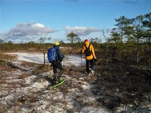 Два человека в обуви с большой площадью поверхности, чтобы они не утонули в болоте.
