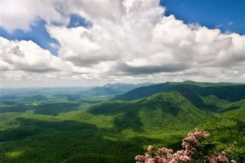 Глядя на Тейбл-Рок. Изображение предоставлено Nature Walk Photography / VisitGreenvilleSC.