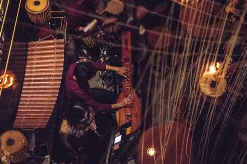 Мужчина, играющий на похожем на гитару инструменте, сидит рядом с поющей женщиной в Теп Баре.