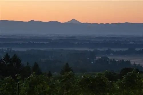 Вид на Каскадный хребет с вершины холма недалеко от винной страны Уилламетт-Вэлли в Орегоне, голубые горы контрастируют с оранжевым небом.