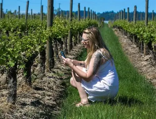 Лучшие дегустационные залы в винной стране долины Уилламетт в штате Орегон