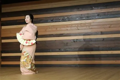 Гейша в Meet Geisha