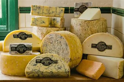 Ассорти сыров с северо-востока Виктории. Изображение предоставлено Milawa Cheese Company.