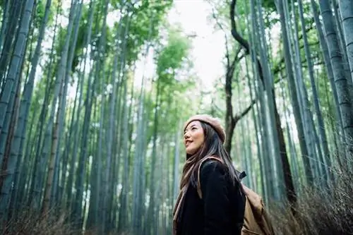 Лучшие вещи, которые вы можете сделать бесплатно в Киото