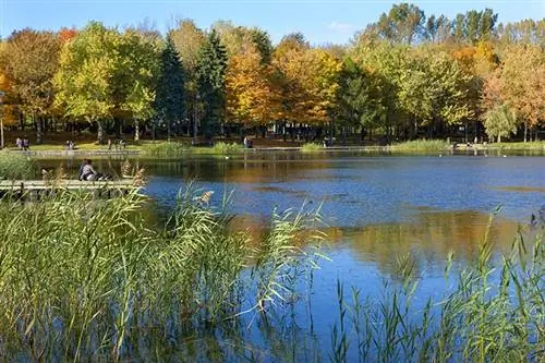 Лак-де-Кастор в парке Мон-Рояль.