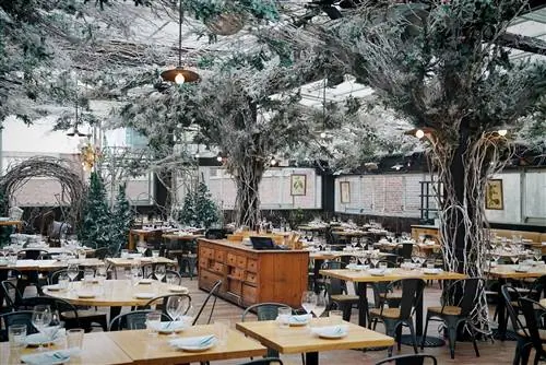 Столовая Serra Alpina в зимнем стиле в Eataly; деревья и беседки выкрашены в белый цвет, есть декоративные гирлянды.