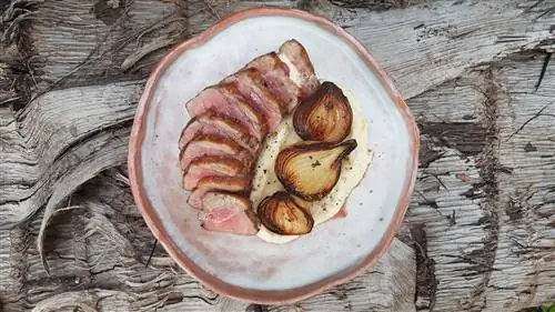 Крупный план тарелки нарезанного мяса с обугленным луком на подушке из белого соуса