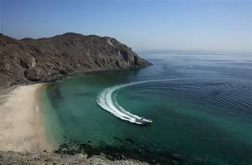 Скоростной катер делает крутой поворот в воде у песчаного серповидного пляжа, окруженного темными скалистыми обнажениями.
