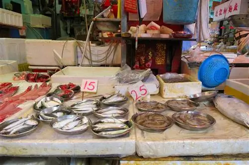 Морепродукты для продажи на влажном рынке в Центральной.