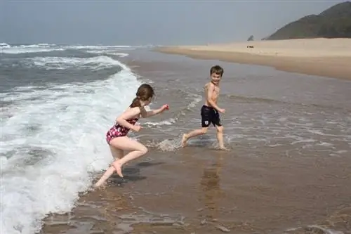 Игра в сёрфинге в парке водно-болотных угодий iSimangaliso, Южная Африка.