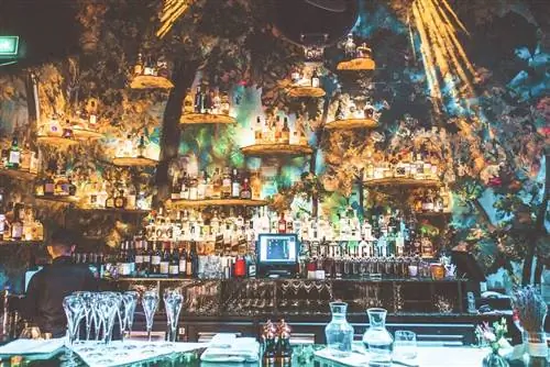 Интерьер одного из баров Sketch, Mayfair, Лондон. Бар оформлен в стиле заколдованного леса, с зелеными стенами, множеством растений и бутылками, приютившимися среди них.