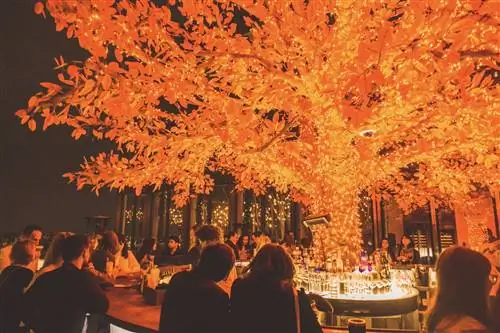 Освещенное апельсиновое дерево окружено баром на террасе Sushi Samba. Сейчас ночь, и на террасе много людей, которые пьют и болтают.