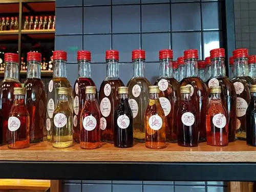 Бутылки горилки (водки), вездесущий украинский дух