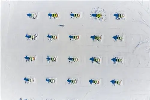 Аэрофотоснимок рядов одинаковых палаток в снегу в базовом лагере ледника Юнион в Антарктиде.