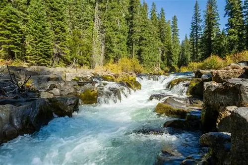 Пенистая белая, светло-голубая и бирюзовая вода течет через темно-серые лавовые скалы, окаймленные золотыми кустарниками и ярко-зелеными елями и пихтами в Южном Орегоне.