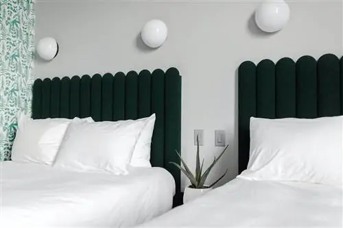 Растение между двумя кроватями в комнате отеля Woodlark в Портленде, штат Орегон.