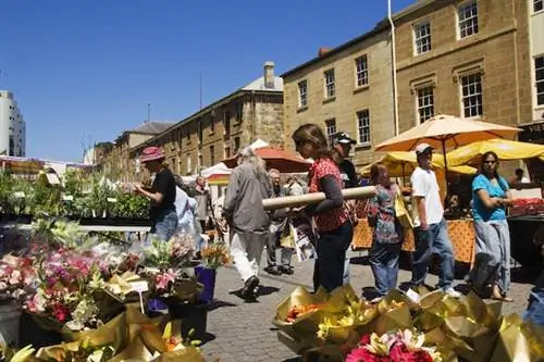 48 часов в Хобарте, Тасмания