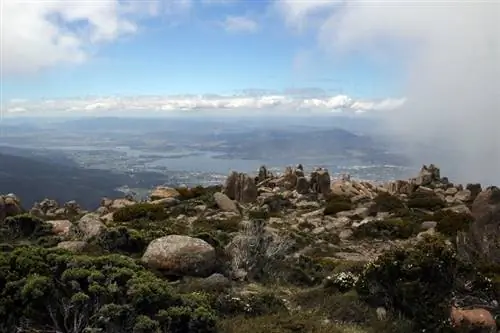 Виды с вершины горы Веллингтон /