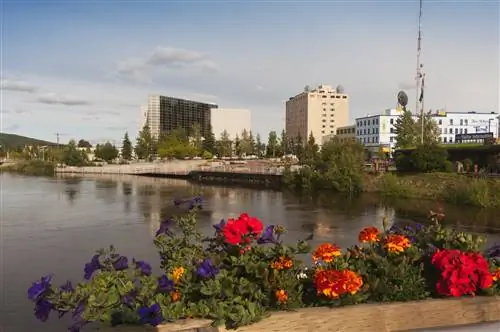 Цветы перед зданием и прудом в Фэрбенксе, Аляска.