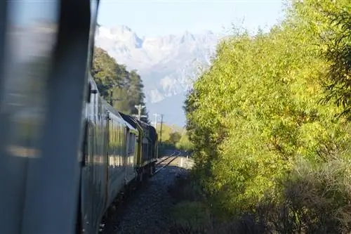 Поезд TranzAlpine проезжает через перевал Артура в Новой Зеландии в солнечный день. Слева от поезда зеленые деревья, а вдалеке заснеженные горы.