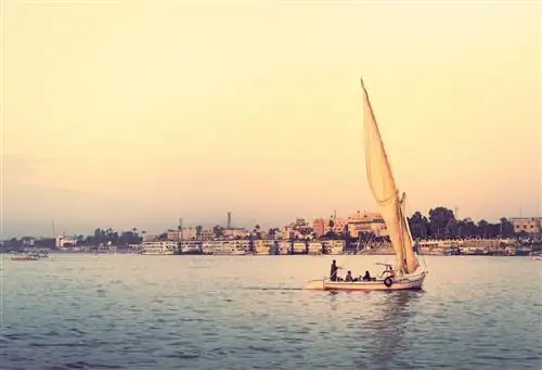 Felucca at sunset - путешествие на паруснике по реке Нил, романтический круиз и приключения в Египте. Традиционный египетский парусник на горизонте. Горизонт Луксора на берегу реки.