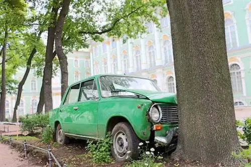 Манифеста 10: новое и ностальгическое искусство в Петербурге