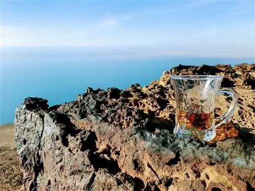 Декоративная стеклянная чашка (наполовину наполненная чаем) с ручкой стоит на скале цвета ржавчины с видом на Мертвое море. Декоративная стеклянная чашка (наполовину наполненная чаем) с ручкой стоит на скале цвета ржавчины с видом на Мертвое море.