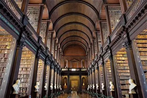 Любой визит в Ирландию должен включать посещение Старой библиотеки Тринити-колледжа в Дублине.